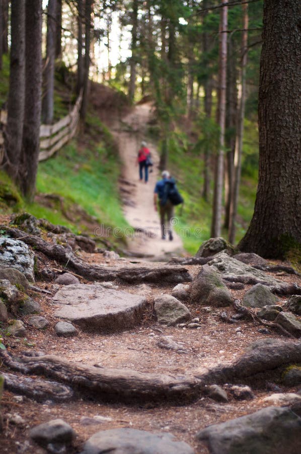Deux randonneurs sur une traînée de montagne photos libres de droits Deux randonneurs sur une traînée de montagne photos libres de droits