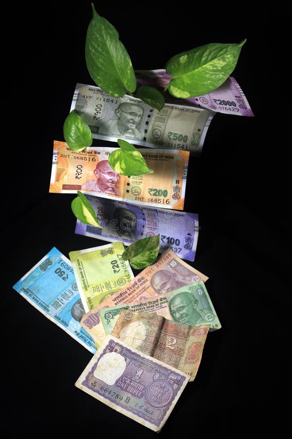 Devil`s Ivy Epipremnum Aureum or Money Plant Leaf with Indian Rupee Currency Notes Over Black Background. Stock Image - Image of aureum, banknotes: 195134835 Devil`s Ivy Epipremnum Aureum or Money Plant Leaf with Indian Rupee Currency Notes Over Black Background. Stock Image - Image of aureum, banknotes: 195134835