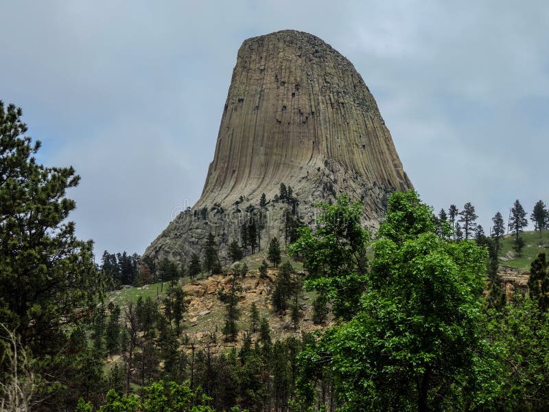 devils tower wyoming bear devils tower wyoming bear