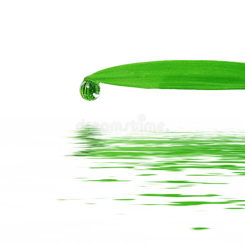 Dew-drop