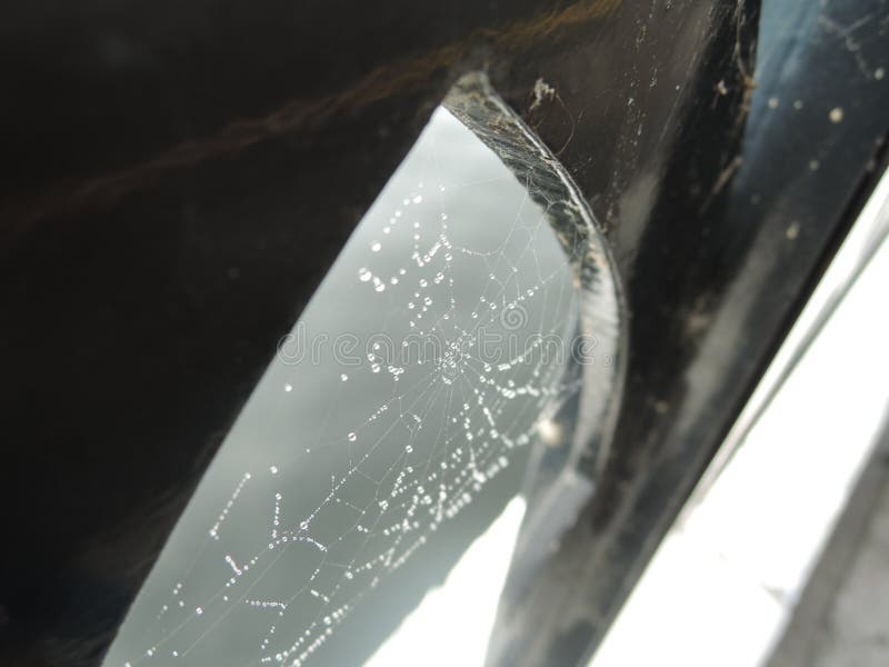 Dew drops on the cobwebs strung on the iron lattice of the embankment near the river.