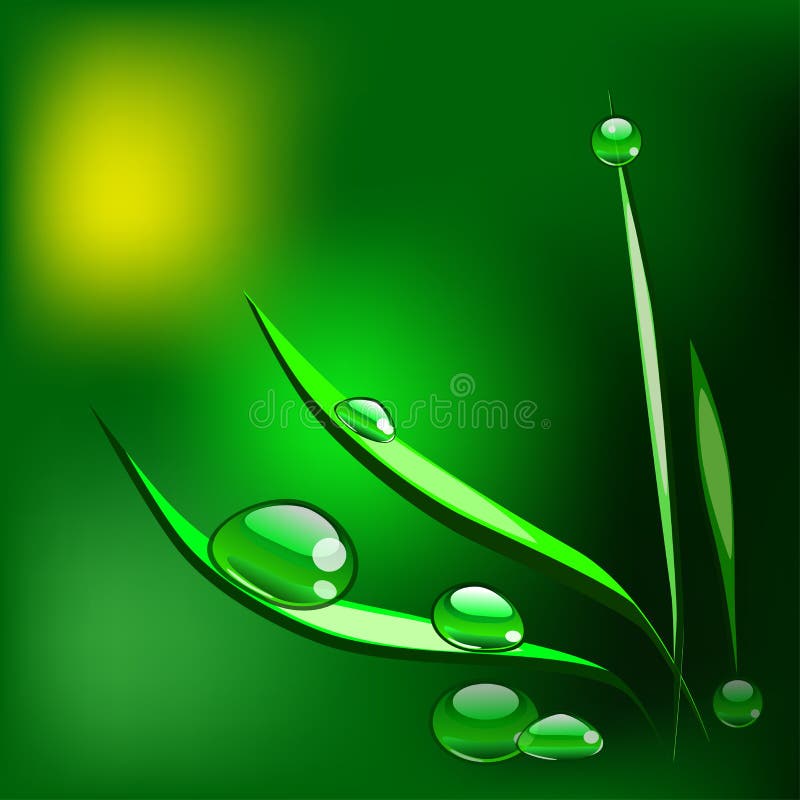 Waterdrop on a Blade of Grass. Stock Illustration - Illustration of ...