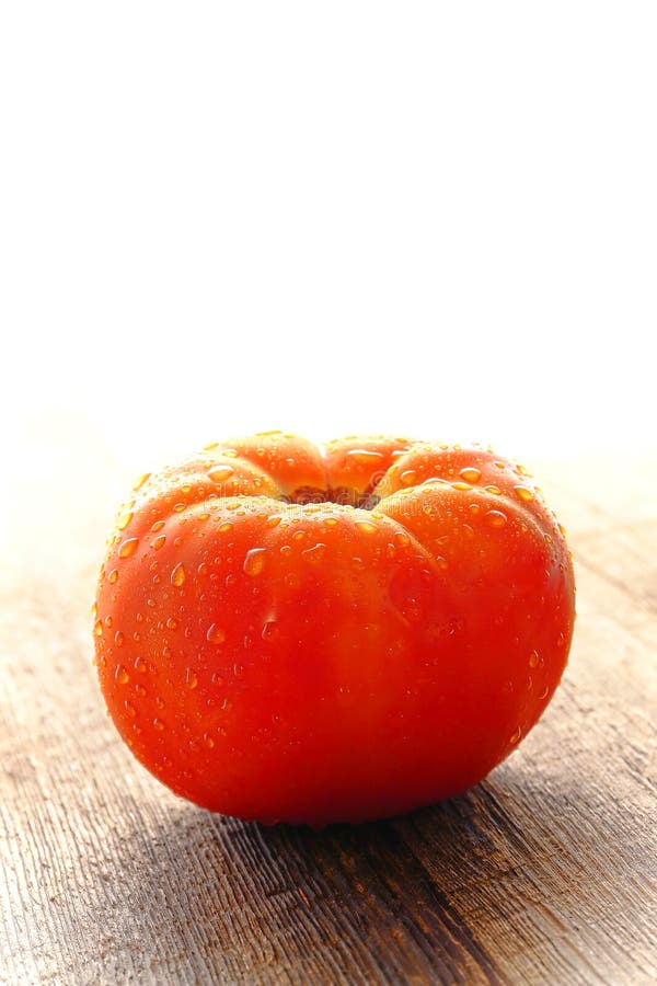 Dew on Organic Red Beefsteak Tomato on Wood Table stock photography Dew on Organic Red Beefsteak Tomato on Wood Table stock photography