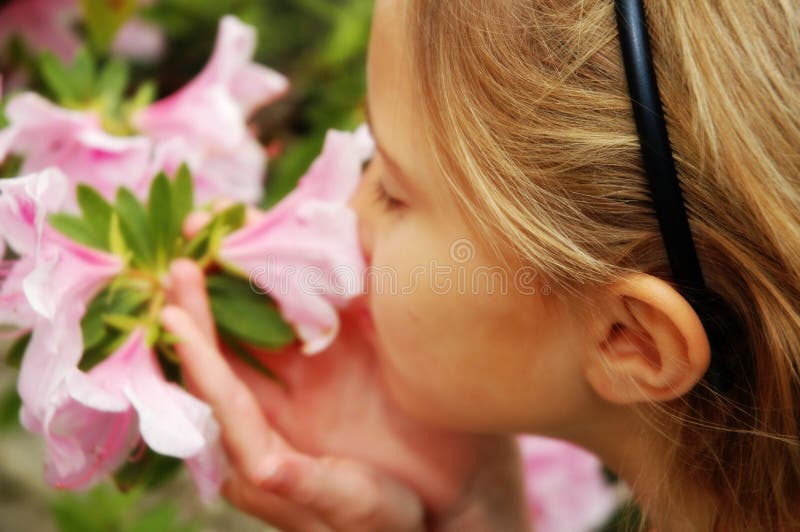 Deze prachtige bloem royalty-vrije stock foto Deze prachtige bloem royalty-vrije stock foto