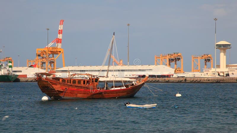 Dhow i porten av Muscat, Oman