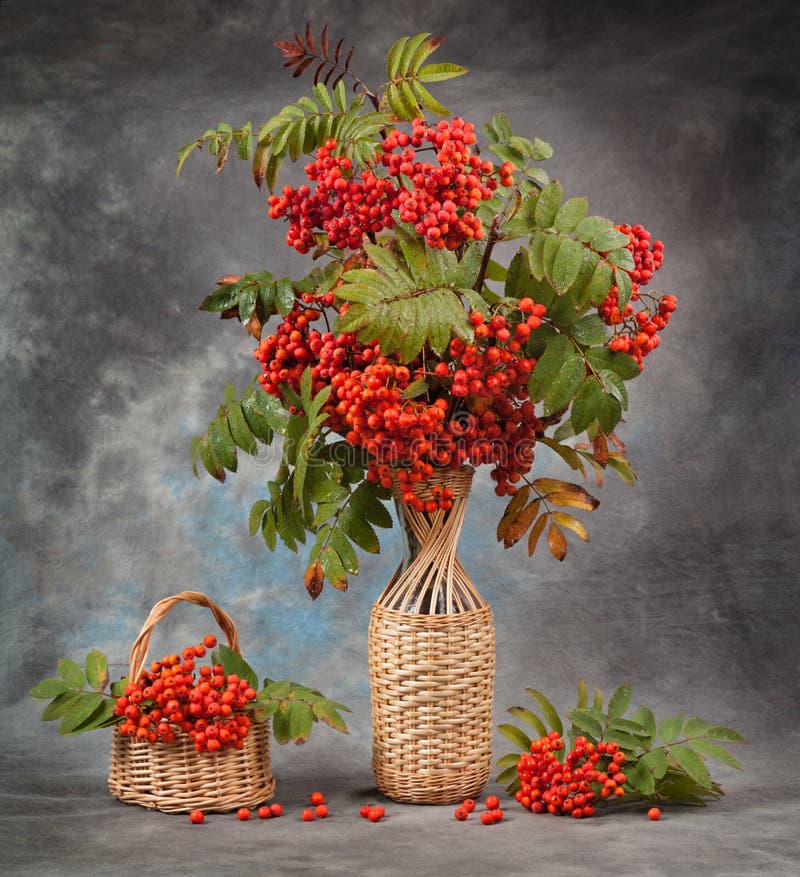 Di autunno vita ancora Rami della sorba in un vaso ed in un canestro fotografia stock libera da diritti Di autunno vita ancora Rami della sorba in un vaso ed in un canestro fotografia stock libera da diritti