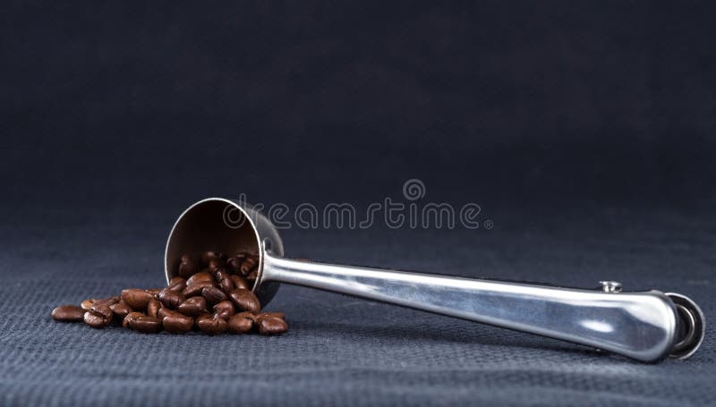 Di dosatore d'acciaio con i chicchi di caffè arrostiti immagine stock Di dosatore d'acciaio con i chicchi di caffè arrostiti immagine stock