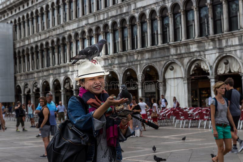 27 di giugno, st segnano il quadrato, Venezia, Italia: Alcuni piccioni stanno sedendo su un cappello giapponese del ` s delle don immagine stock libera da diritti 27 di giugno, st segnano il quadrato, Venezia, Italia: Alcuni piccioni stanno sedendo su un cappello giapponese del ` s delle don immagine stock libera da diritti