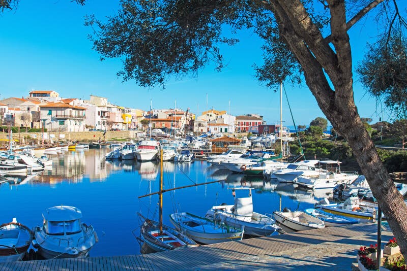 Di olivo dal porto fotografie stock libere da diritti Di olivo dal porto fotografie stock libere da diritti