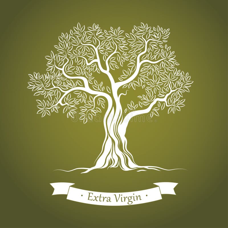 Di olivo. Olio d'oliva. Di olivo di vettore. Per le etichette, pacchetto. illustrazione di stock Di olivo. Olio d'oliva. Di olivo di vettore. Per le etichette, pacchetto. illustrazione di stock