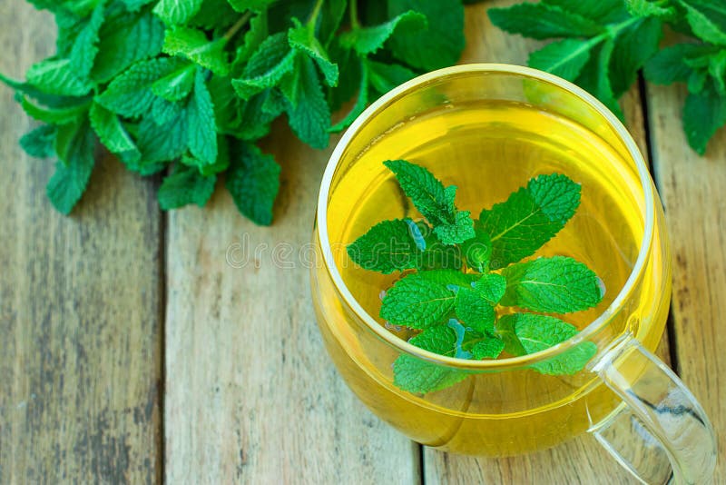 Di recente tè di erbe della menta di Brewd in erbe di vetro di verde della tazza sulla disintossicazione sana Ayurveda della beva