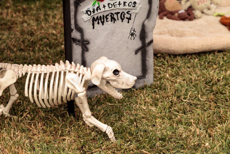 Dia de los Muertos changent images libres de droits Dia de los Muertos changent images libres de droits