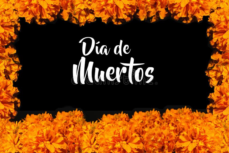 Dia De Los Muertos Flor De Cempasuchil, Day of the Dead Offering in MÃ©xico  Stock Photo - Image of latin, muerto: 126914304