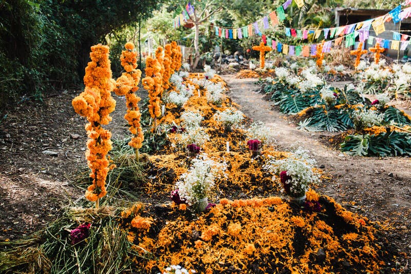 Dia De Los Muertos México, Cempasuchil Flores Para El Día De Los Muertos,  Cementerio De México Foto de archivo - Imagen de fondo, festival: 160854448