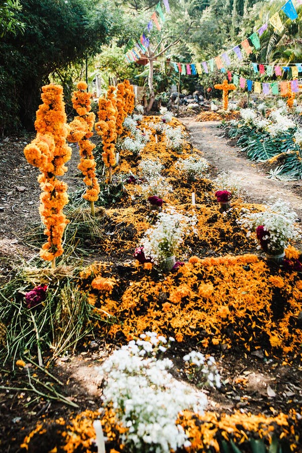 Dia De Los Muertos México, Cempasuchil Flores Para El Día De Los Muertos,  Cementerio De México Foto de archivo - Imagen de fondo, festival: 160854448