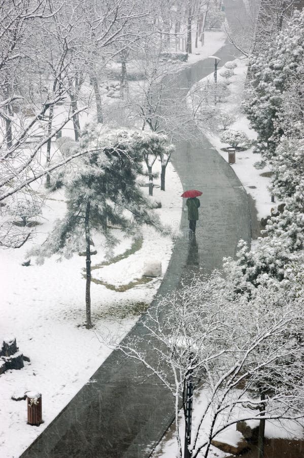Dia de neve no parque foto de stock