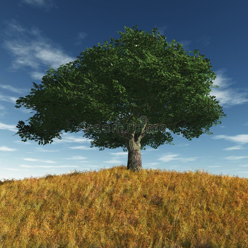 Dia de verão ilustração stock