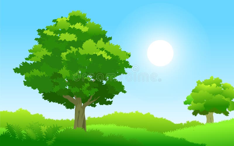 Illustration of forest during sunny day with green grass and trees. Illustration of forest during sunny day with green grass and trees