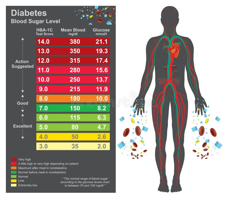 Glucose Test Range Chart