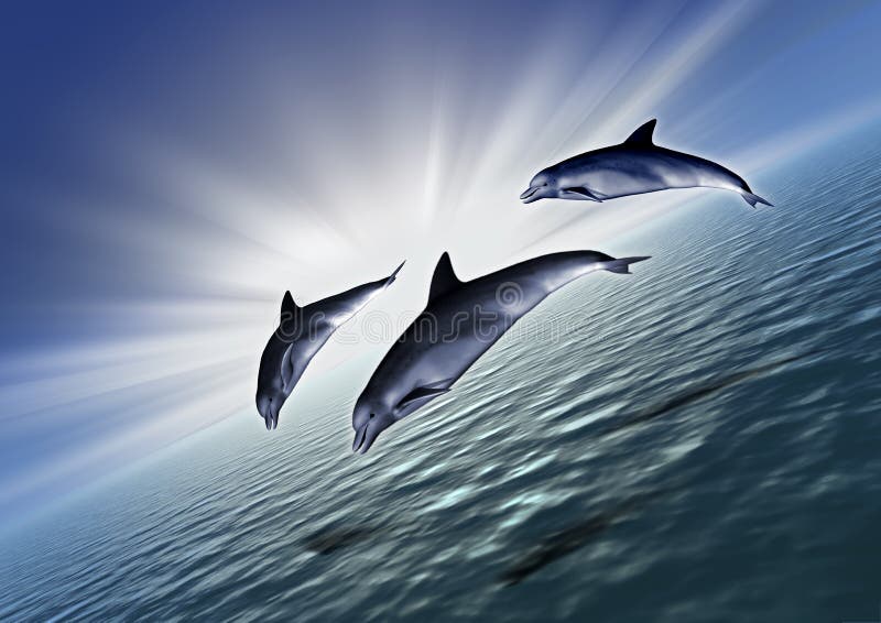 Diagonale de trois dauphins