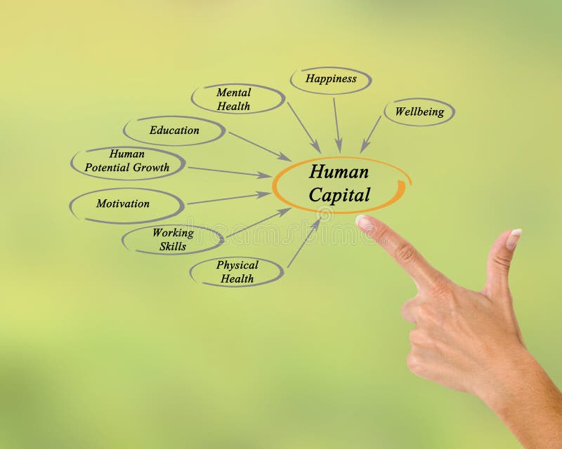 Diagram of Human Capital stock photo. Image of human 85644138