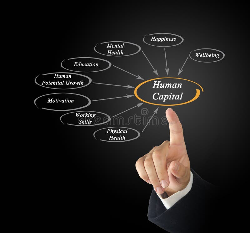 Diagram of Human Capital stock photo. Image of male, diagram - 85649740 Human Capital