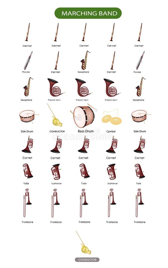 Illustrazione di Raccolta delle Diverse Sezioni di Strumento Musicale per Banda Diagramma del Layout.