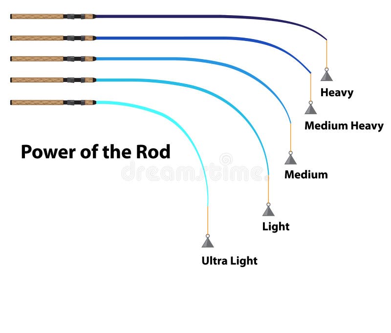 Fishing Rod Power Vs Action Comparison for Curvation Angle Outline Diagram  Stock Vector - Illustration of gear, bent: 251443283