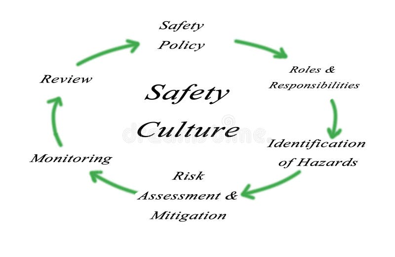 Diagram of Safety Culture vector illustration