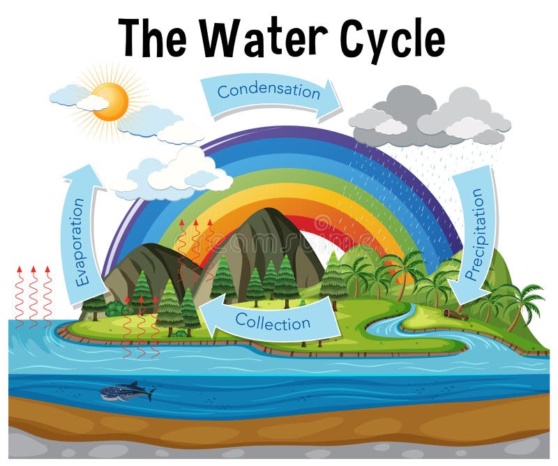 timetable chart for class ocean chartfor water cycle timetable chart for class ocean chartfor water cycle