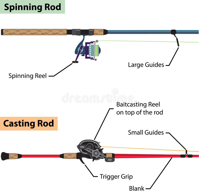 Diagram of Spinning Rod and Baitcasting Rod Vector Illustration