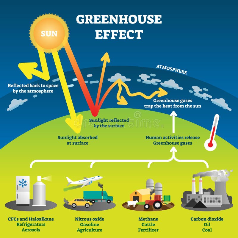 Greenhouse effect vector illustration diagram. Environment pollution problem and fighting climate change. Informational infographic for education and rising awareness. Human industrial activity issue. Greenhouse effect vector illustration diagram. Environment pollution problem and fighting climate change. Informational infographic for education and rising awareness. Human industrial activity issue.