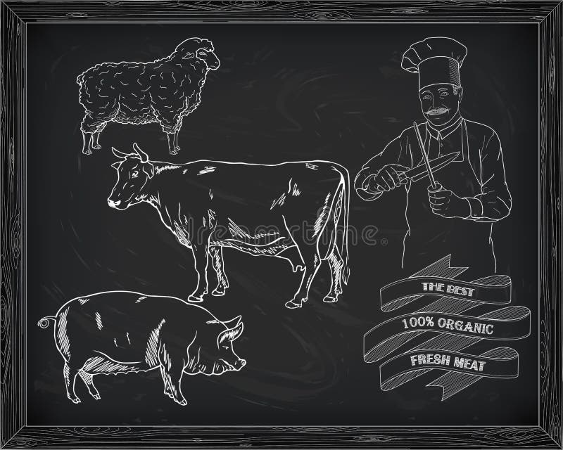 Diagrama, carne de porco, cordeiro e cozinheiro massacrando da carne ilustração do vetor Diagrama, carne de porco, cordeiro e cozinheiro massacrando da carne ilustração do vetor