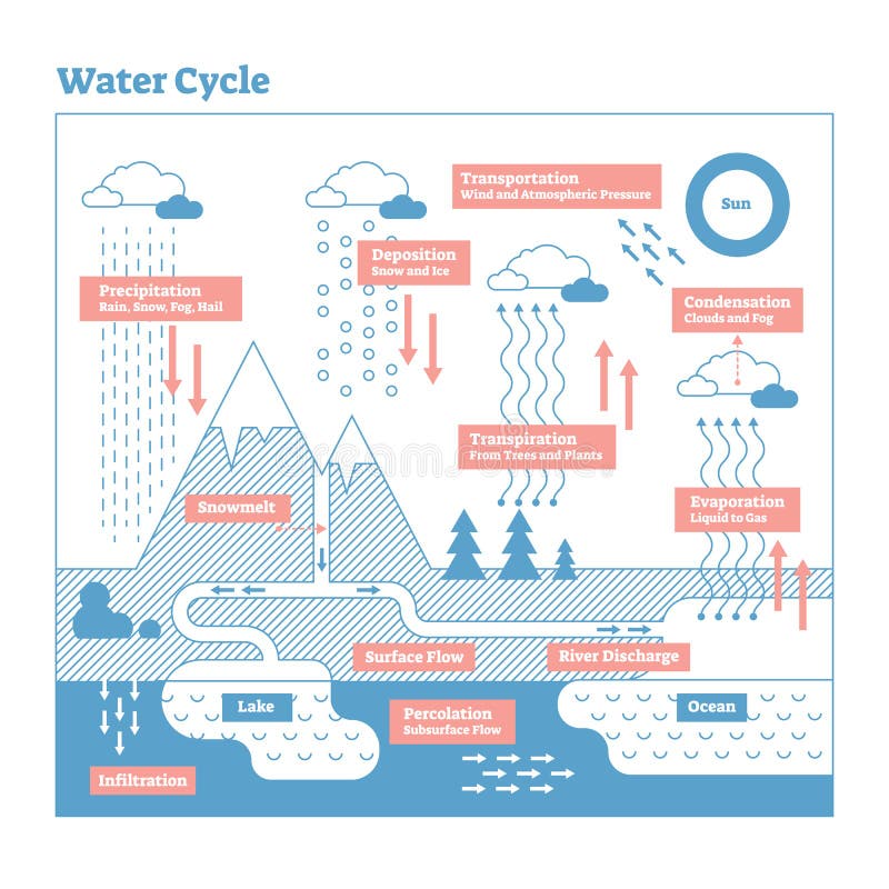 Diagrama da ilustração do vetor do ciclo da água Esquema do ecossistema da ciência de Geo ilustração stock Diagrama da ilustração do vetor do ciclo da água Esquema do ecossistema da ciência de Geo ilustração stock