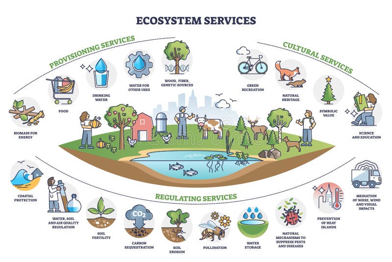 Diagrama de esquema de recopilación de servicios de ecosistemas con categorías de subdivisiones