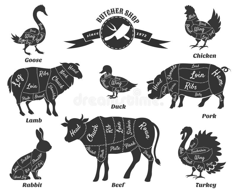 Diagrams for butcher shop. Animal silhouette, beef and cow, turkey and goose, pork and sheep. Vector illustration. Diagrams for butcher shop. Animal silhouette, beef and cow, turkey and goose, pork and sheep. Vector illustration