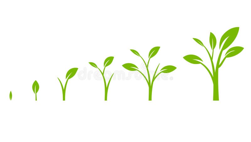 Diagramme de croissance d'arbre avec la feuille verte illustration de vecteur Diagramme de croissance d'arbre avec la feuille verte illustration de vecteur