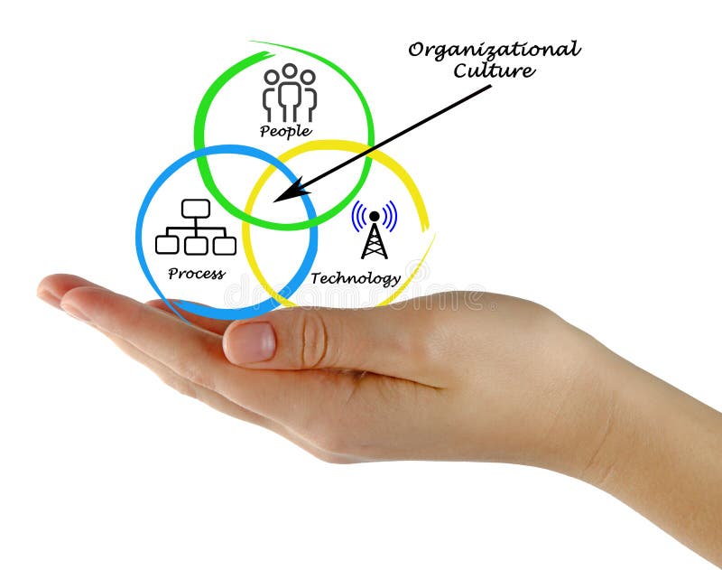 Diagramme de culture organisationnelle