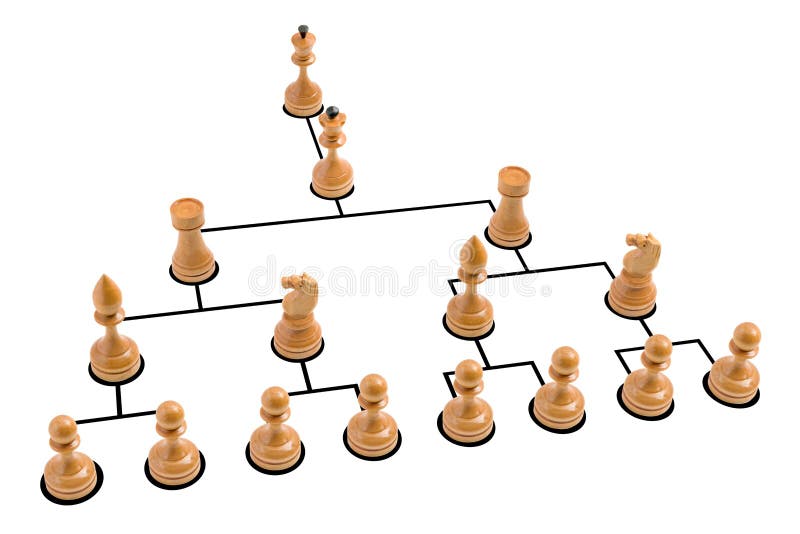 diagramorganisation arkivbild diagramorganisation arkivbild