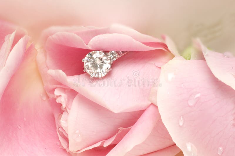 Diamant in Roze Bloemblaadje royalty-vrije stock afbeelding Diamant in Roze Bloemblaadje royalty-vrije stock afbeelding
