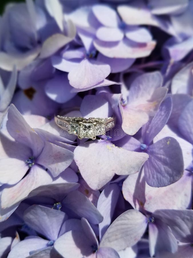 Diamon engagement ring in hydrangea flowers