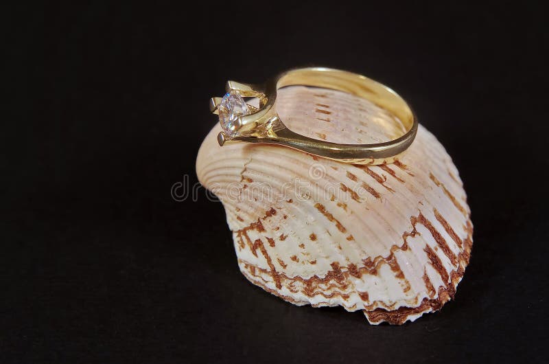 Diamond Wedding Ring en concha marina foto de archivo libre de regalías Diamond Wedding Ring en concha marina foto de archivo libre de regalías