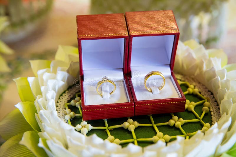 Wedding ring woman stock photo. Image of proposal, surprise - 7797684