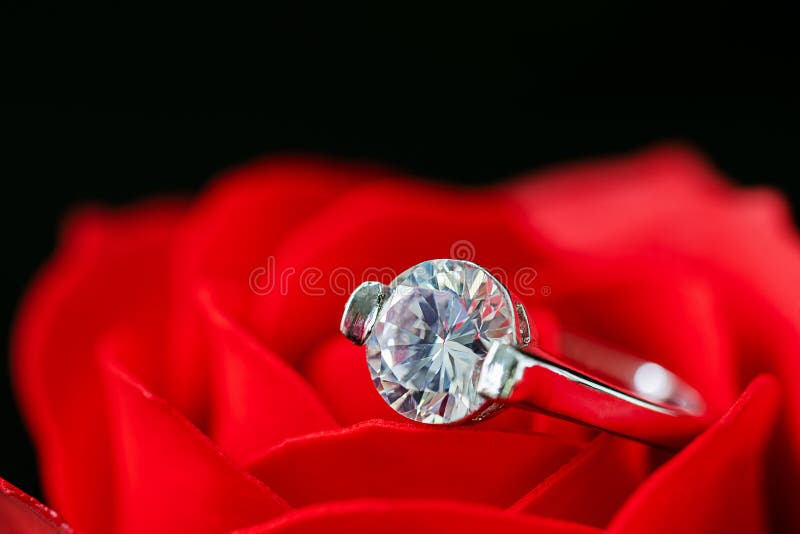 Diamond Wedding Rings on Red Roses Stock Image - Image of leaves ...