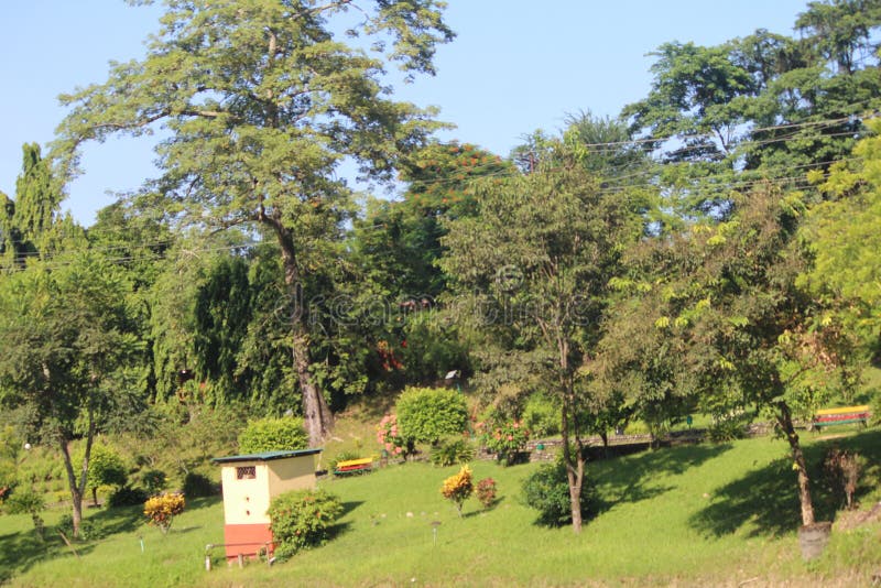 In dian village area, this area is located at india, assam state stock photography