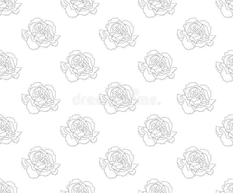 Background Dianthus Stock Illustrations – 680 Background Dianthus Stock ...