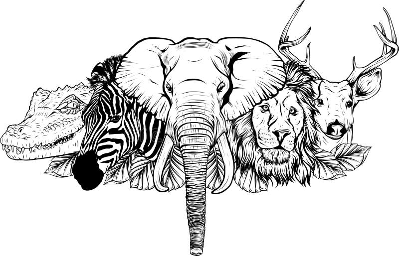 Dibujar En Blanco Y Negro De Dibujos Animados Animales Salvajes Africanos  Sobre Fondo Blanco Ilustración del Vector - Ilustración de grupo, drenaje:  213645167