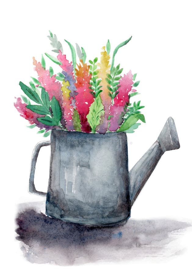 Dibujo acuarela de flores y hojas de resorte brillantes y brillantes en una olla de regadío ilustración del vector Dibujo acuarela de flores y hojas de resorte brillantes y brillantes en una olla de regadío ilustración del vector