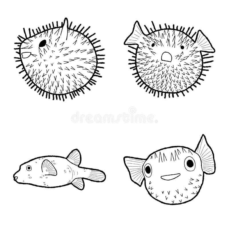 Dibujo De Arte De Caricaturas Dibujado Con Una Mano De Vectores De Animales De Pez Globo Ilustración del Vector - Ilustración de vendimia, salvaje: 162182325 Dibujo De Arte De Caricaturas Dibujado Con Una Mano De Vectores De Animales De Pez Globo Ilustración del Vector - Ilustración de vendimia, salvaje: 162182325