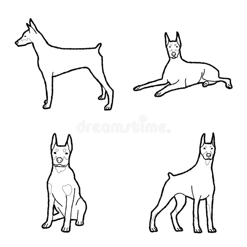 Dibujo De Arte De Dibujos Animados Doberman Pinscher Animal Vector  Illustración Ilustración del Vector - Ilustración de trazado, icono:  163539463